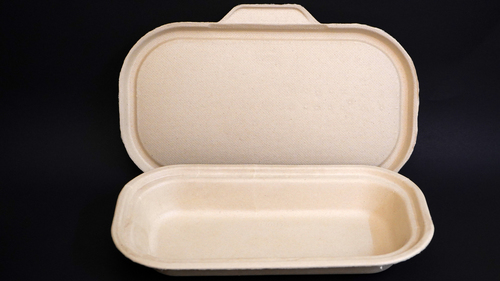 HealPlanet 500 ml Bagasse Food Container with Lid