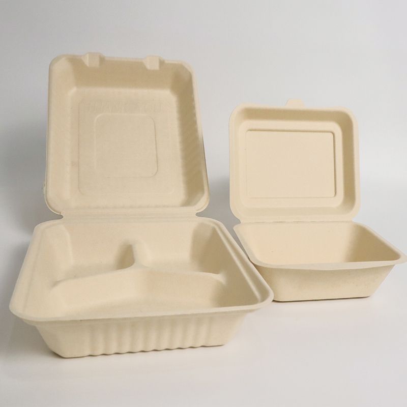 HealPlanet 9×9 Bagasse Clamshell Box